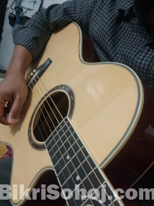 AdamSmith Acoustic Guitar